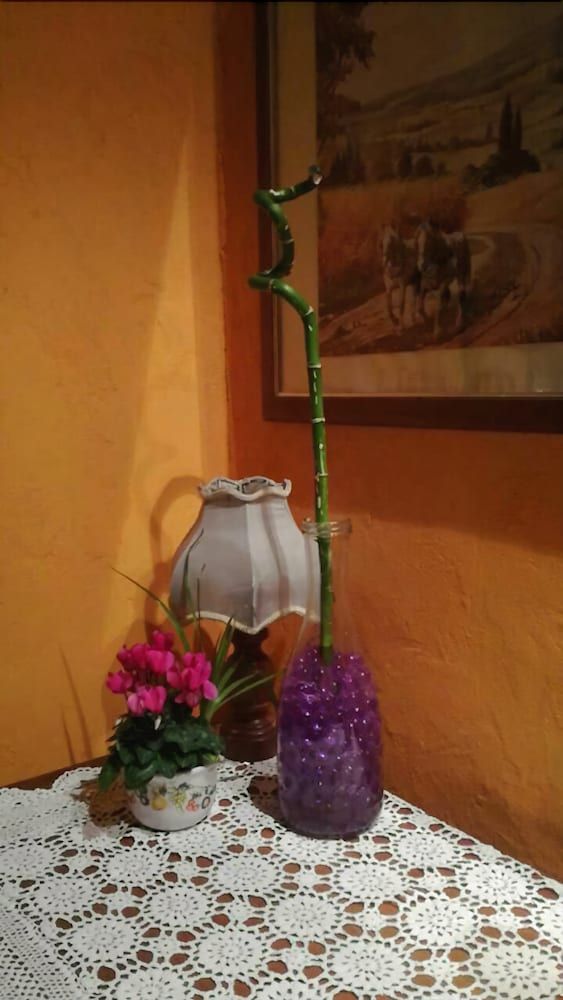 Il Castagneto