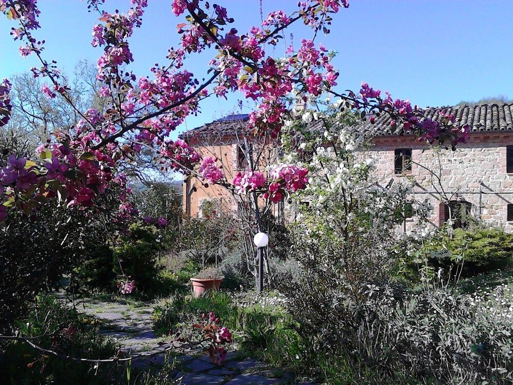 Terra Di Magie
