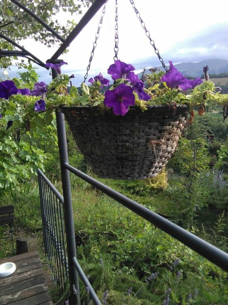 Terra Di Magie
