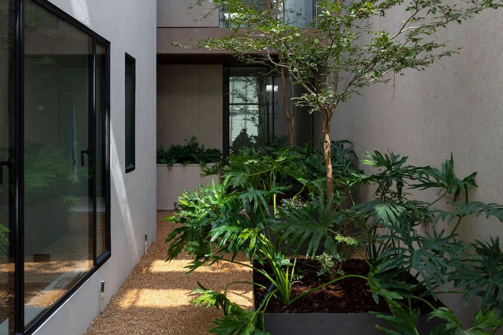 Casa Polanco