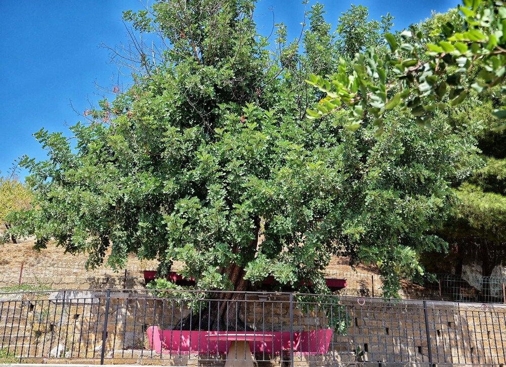 B&B Vento Di Scirocco