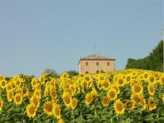 Casina Foglietti Komplett