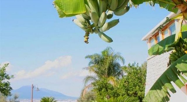 Villa Ketty Resort