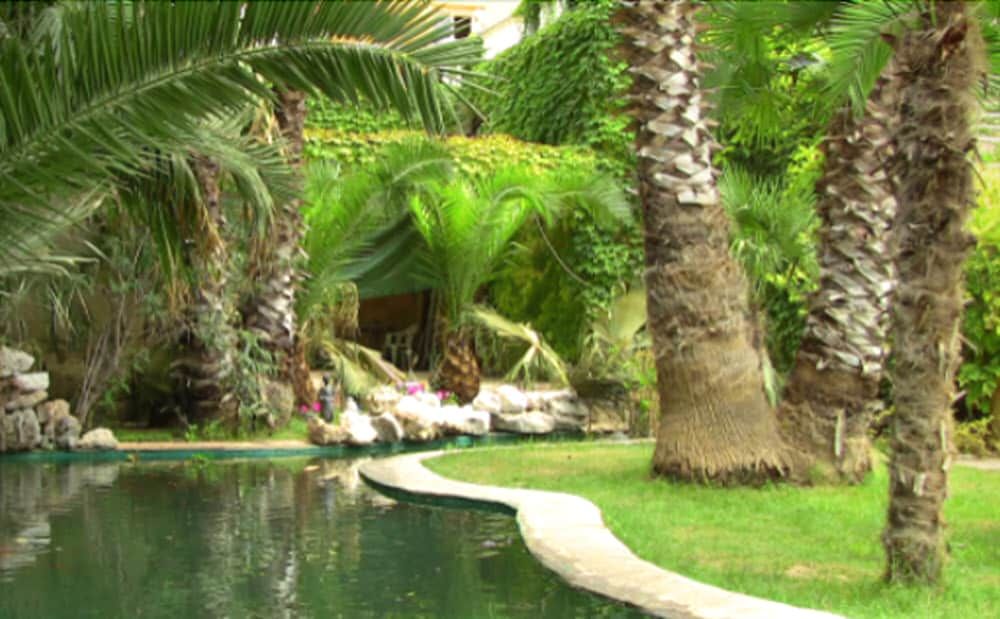 Hotel Las Navas