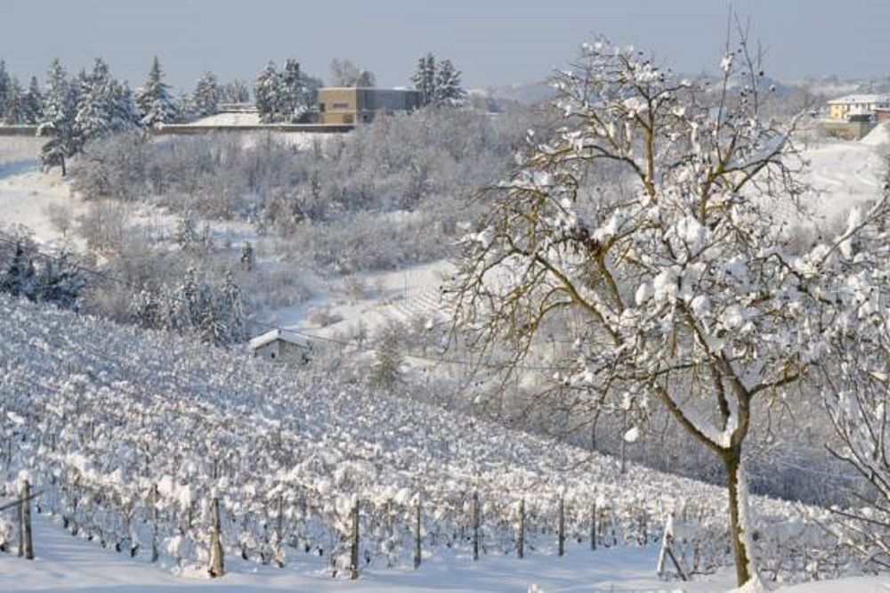 Agriturismo Costa dei Platani