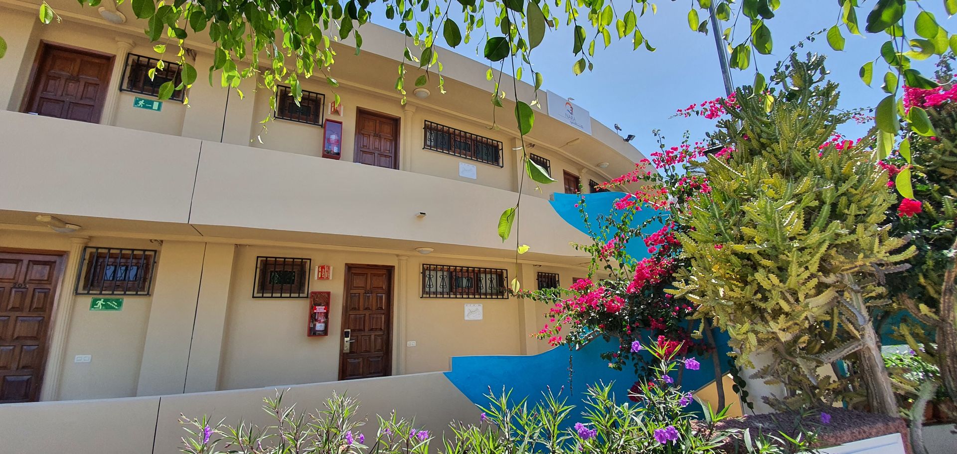 Alsol Nara