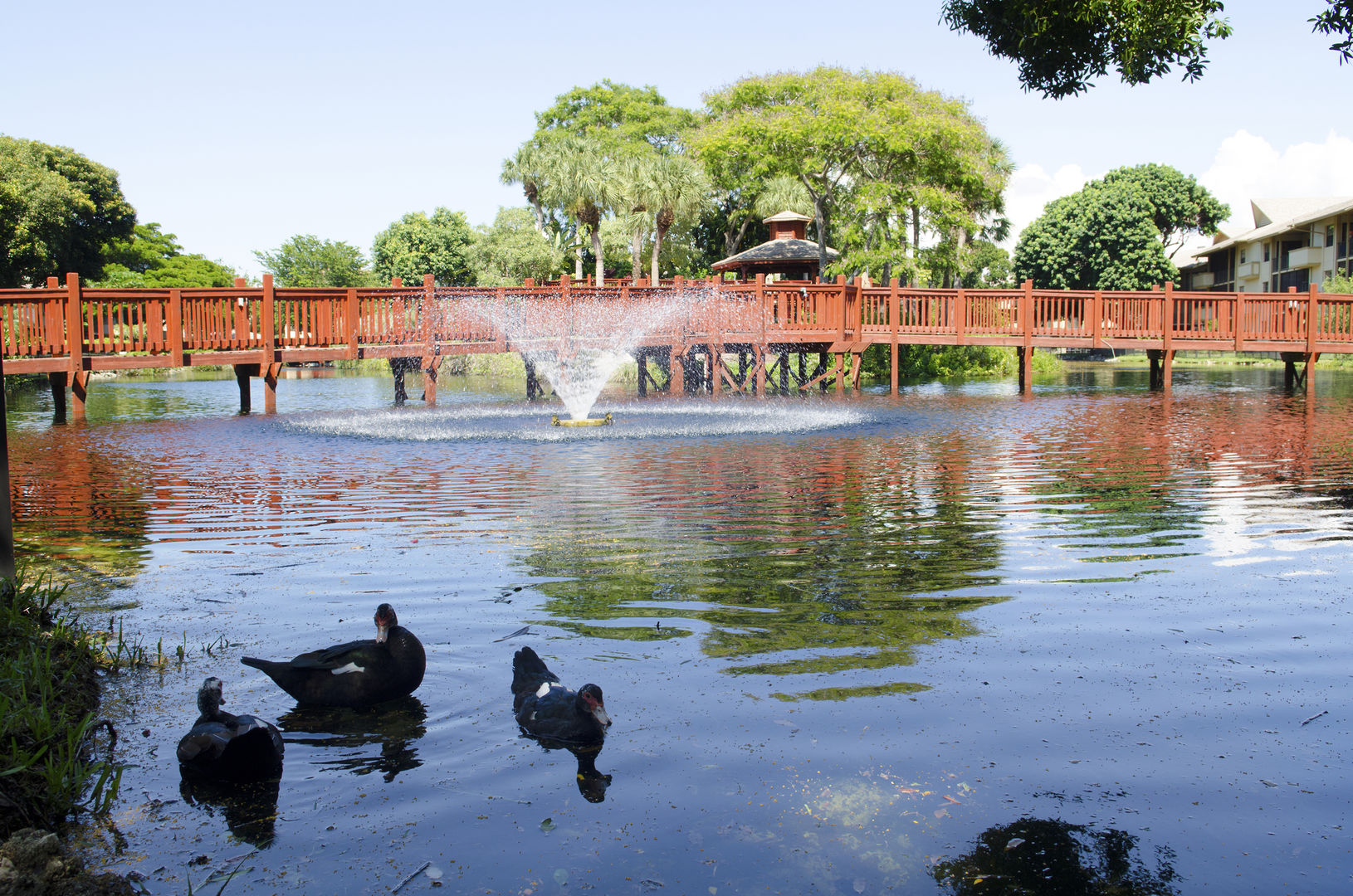 Park Shore Resort