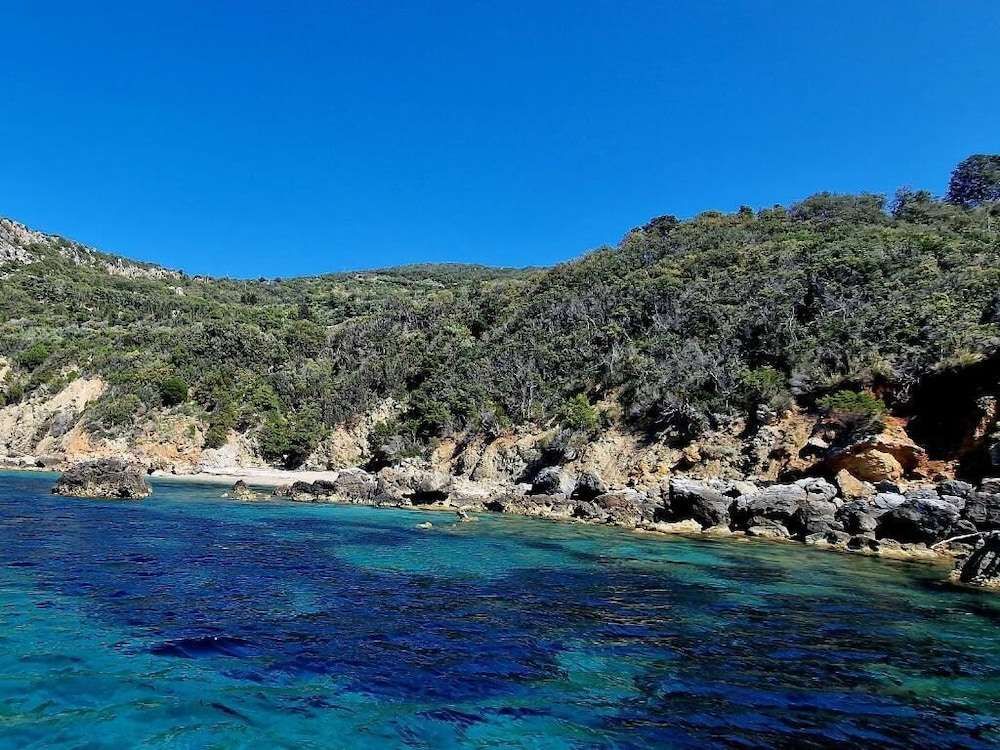 Poggio Alla Buca