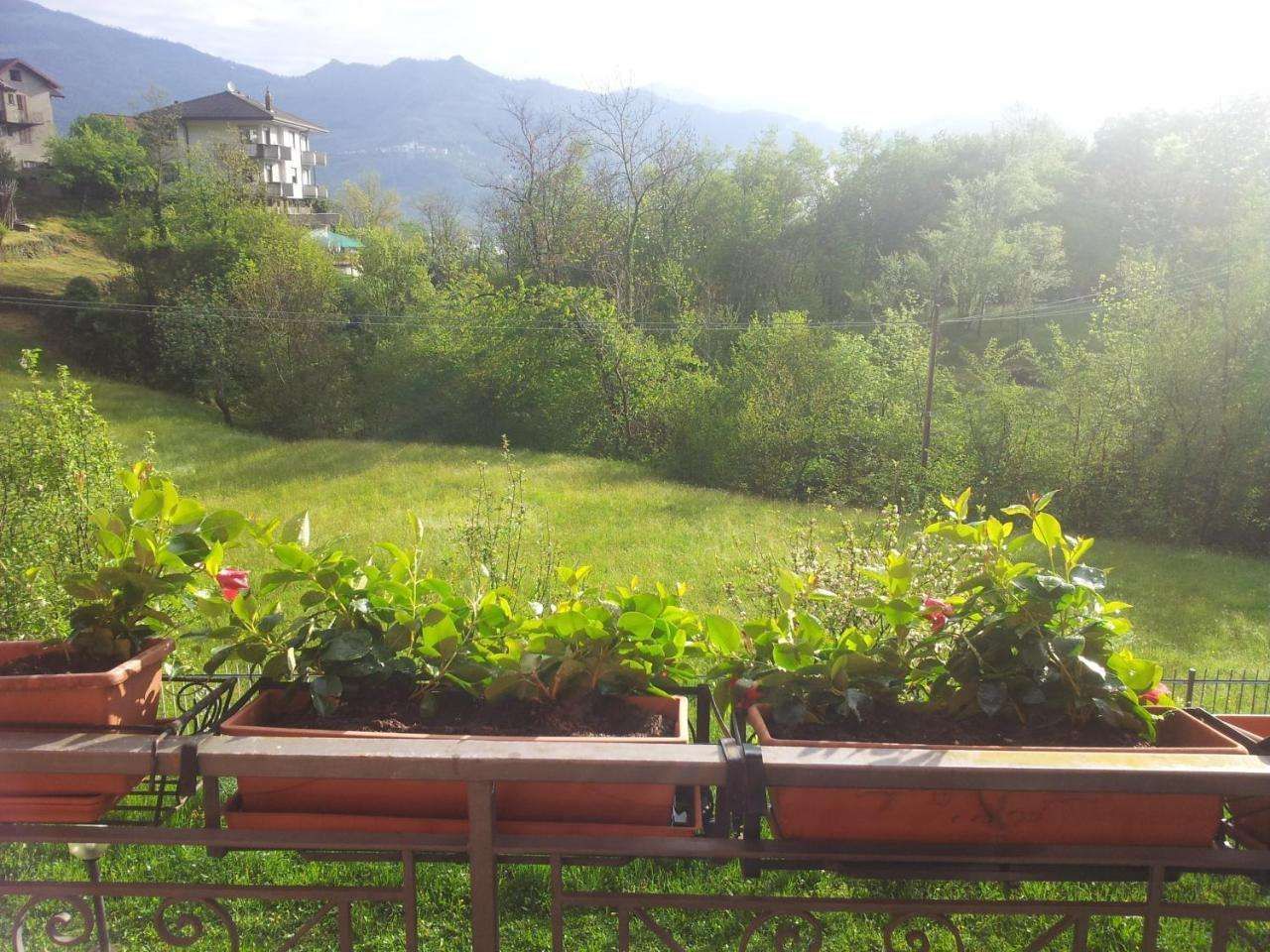 I Tre Ciliegi Bed And Breakfast