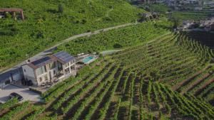 Agriturismo Due Carpini