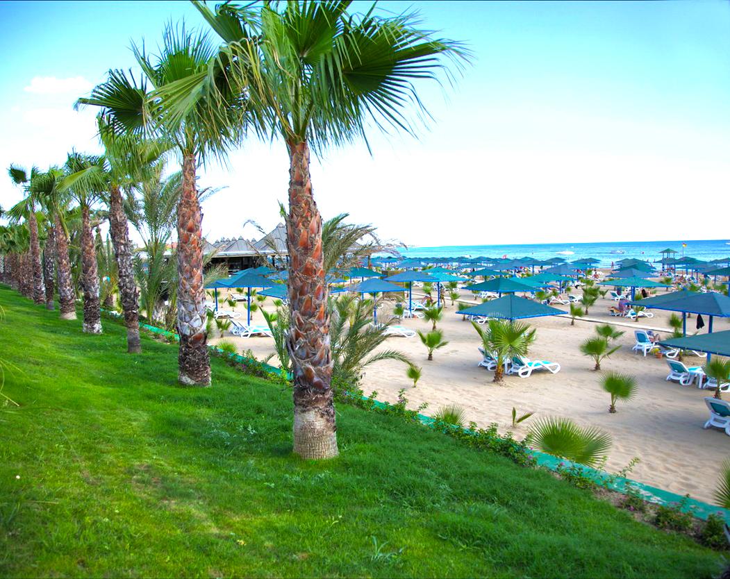 Paloma Oceana