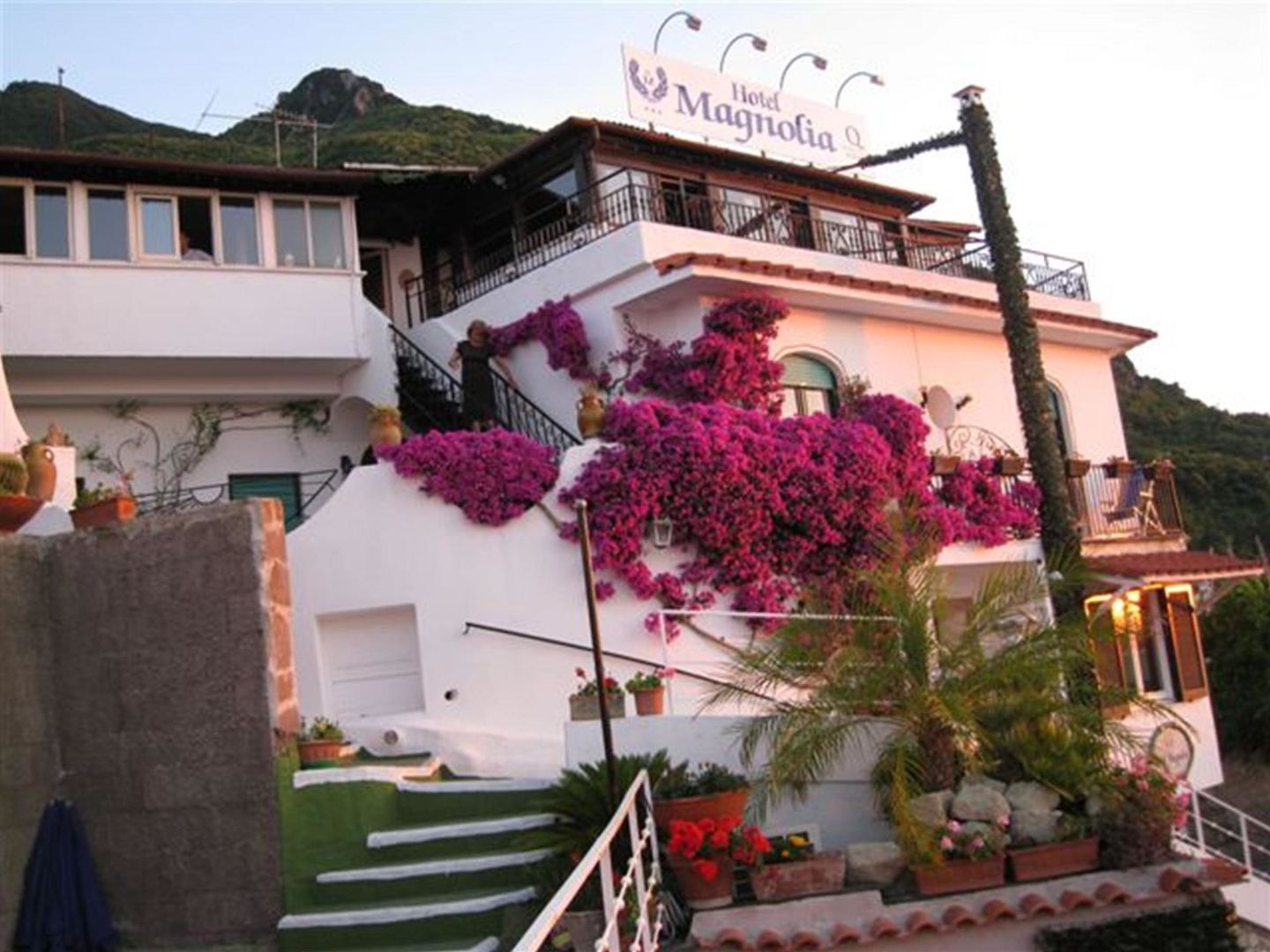 Hotel Magnolia