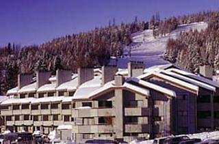 The Edelweiss