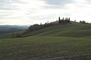 Panoramic