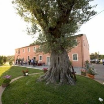 Casal Sant Elena