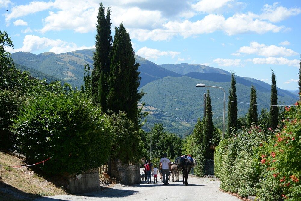 Campagna in Compagnia