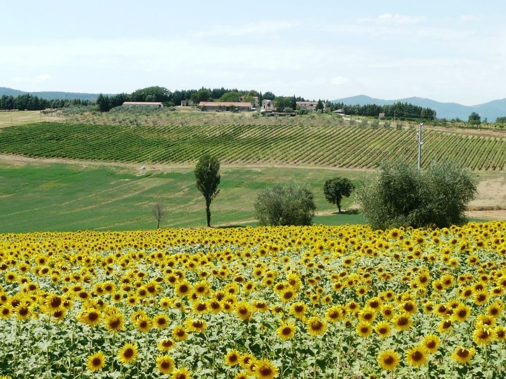Agriturismo San Cristoforo