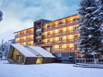 Bakuriani Inn