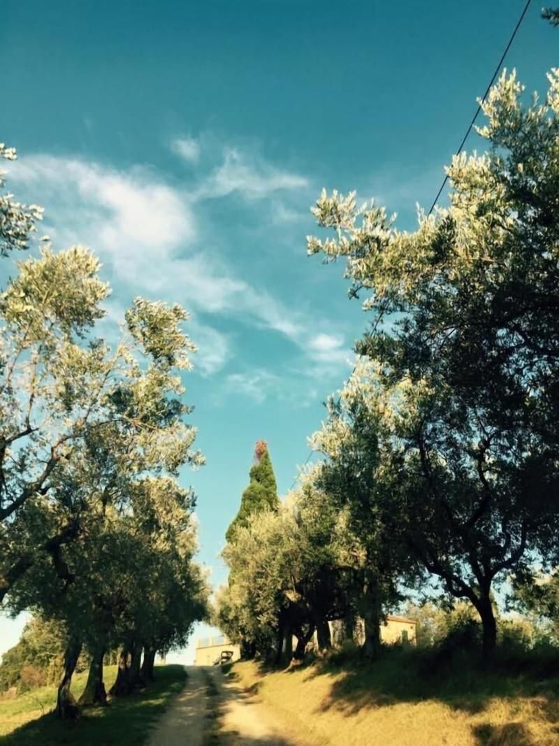 B&B Agricola Perconti