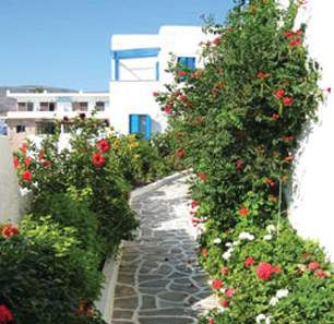 Mare Monte