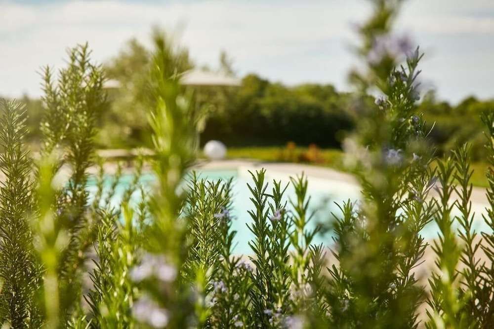 Agriturismo L'Uva E Le Stelle
