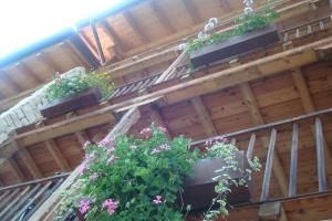 Val Maschi B&B