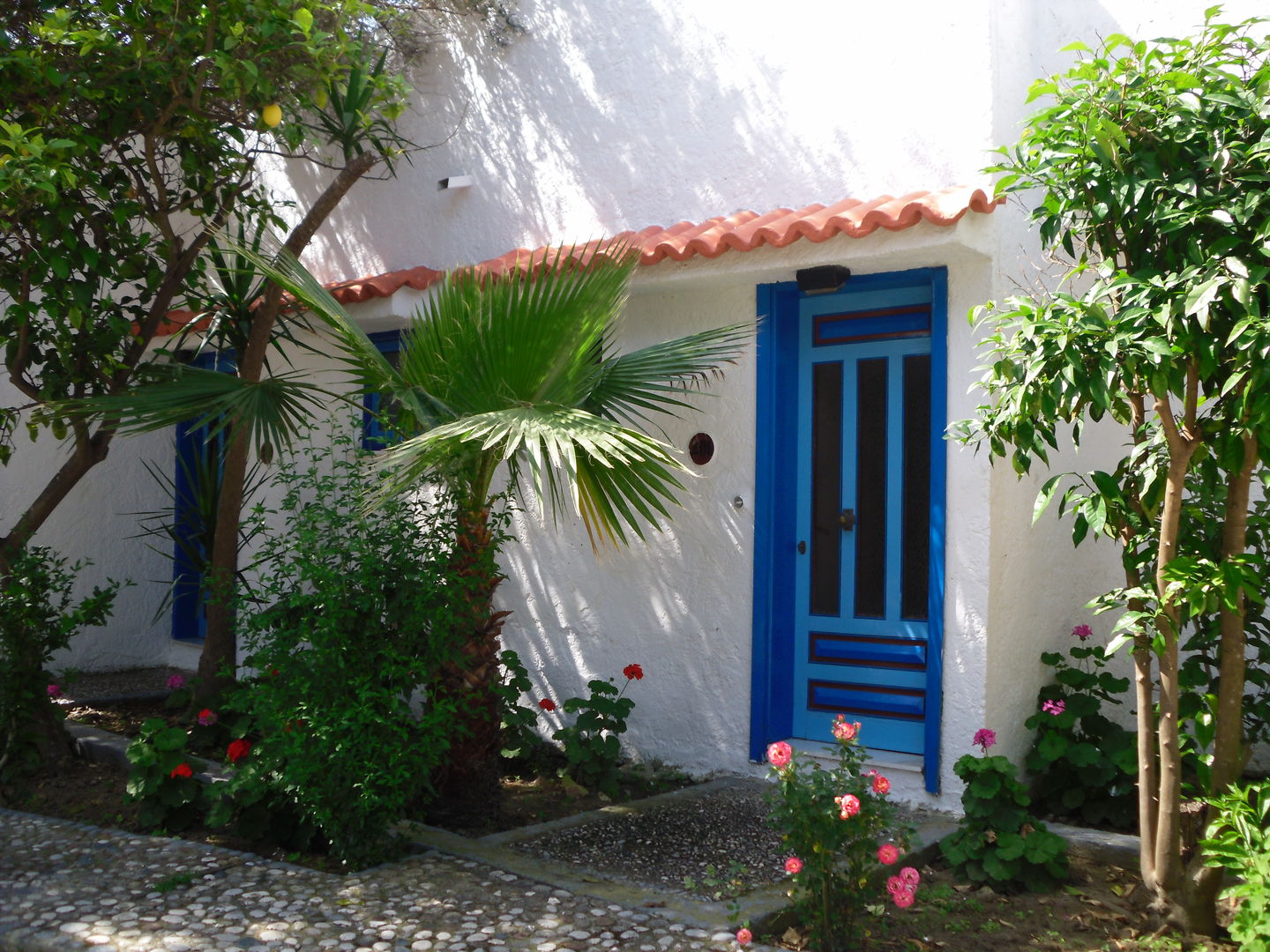 Oasis Hotel & Bungalows
