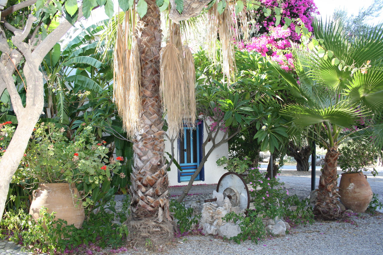 Oasis Hotel & Bungalows