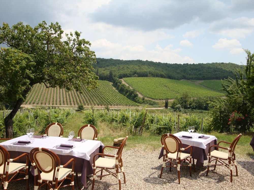 Le Vigne