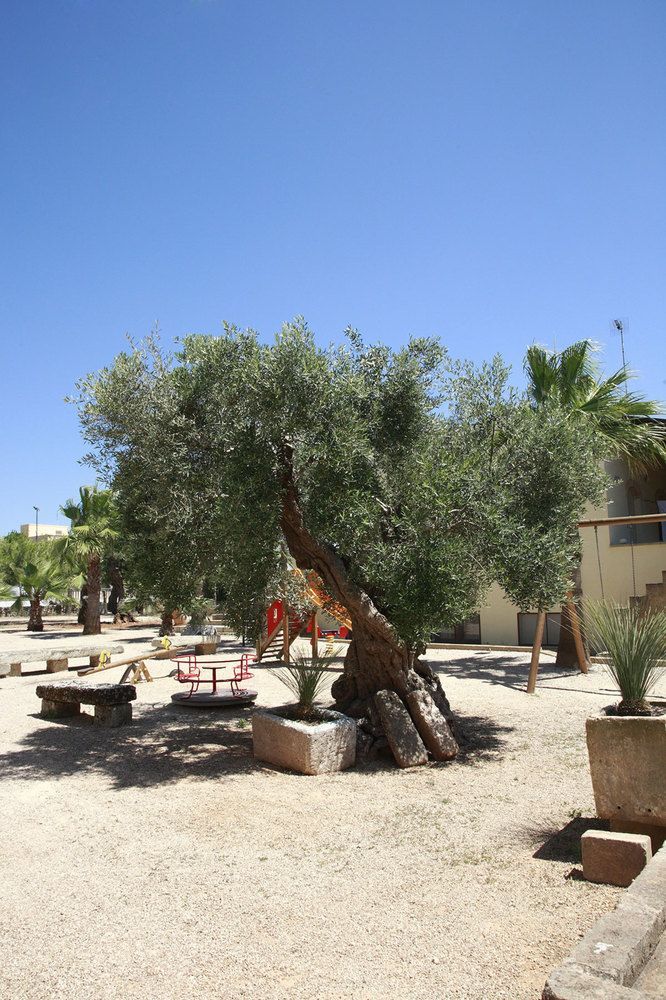 Agriturismo Matine