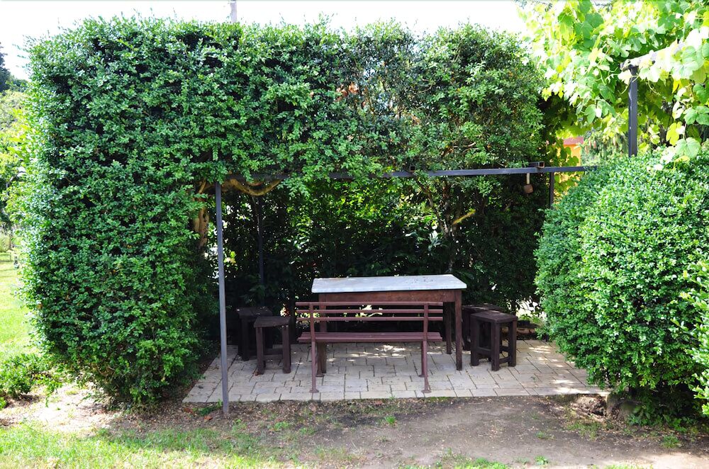 Podere Bazzino B&B