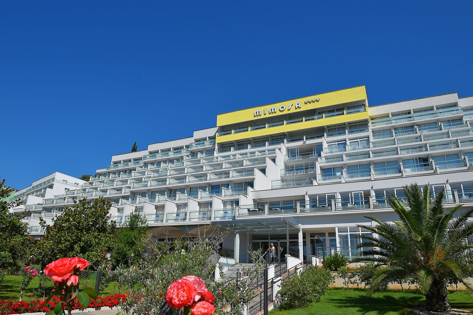Mimosa Lido Palace Hotel