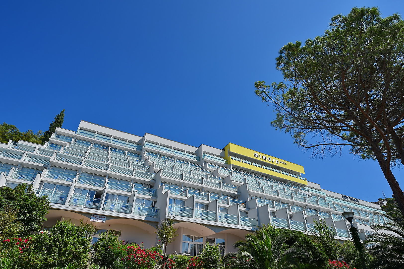 Mimosa Lido Palace Hotel