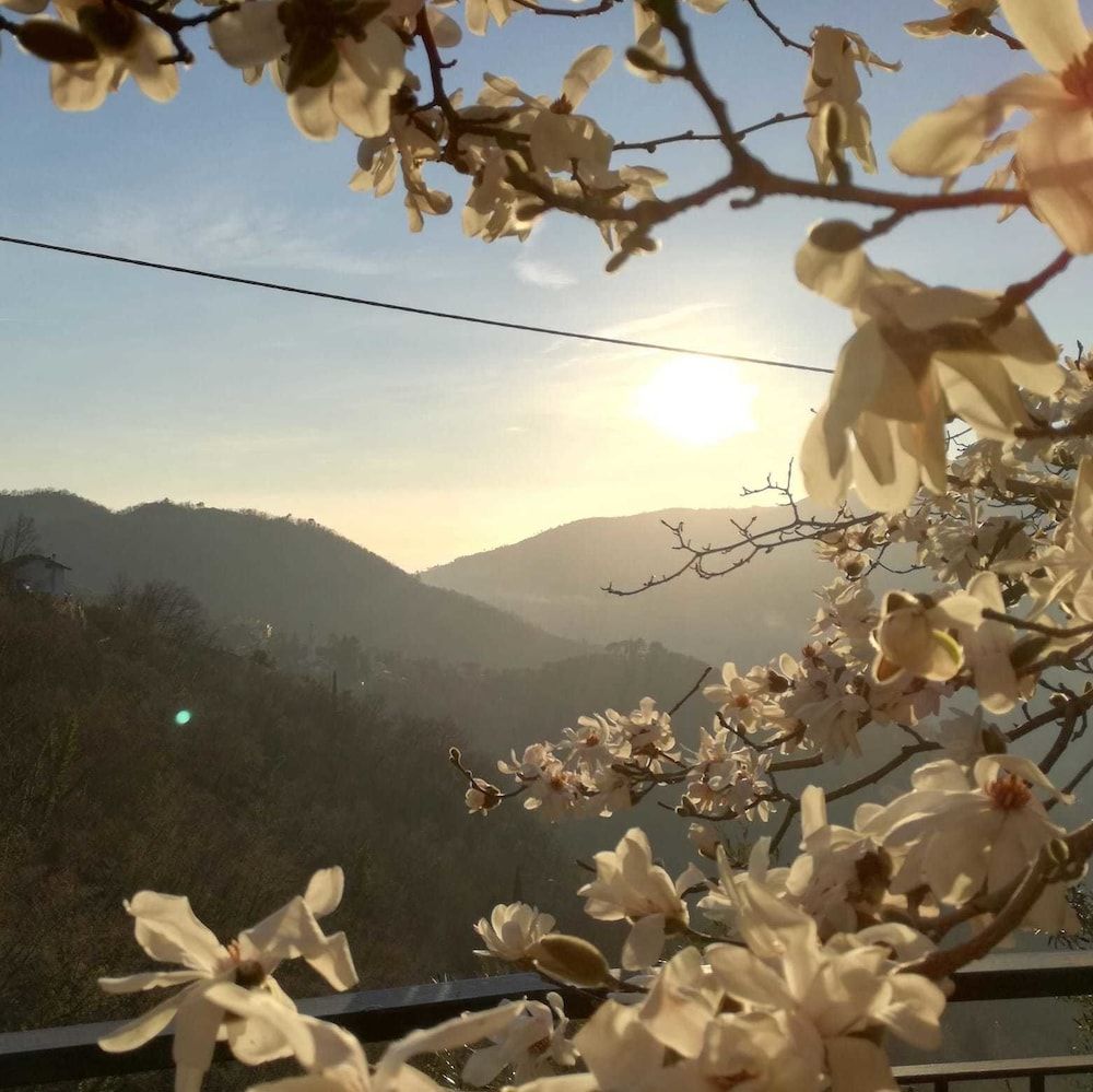 Bed & Breakfast I Glicini