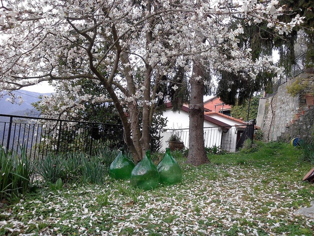 Bed & Breakfast I Glicini