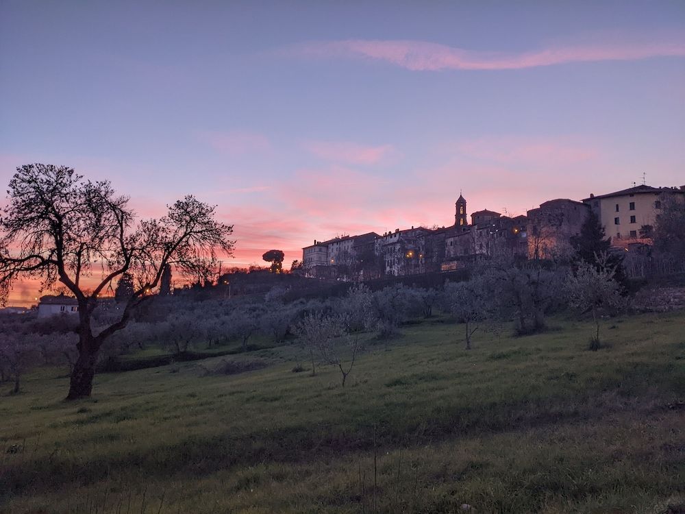 Cipresso E Pietra