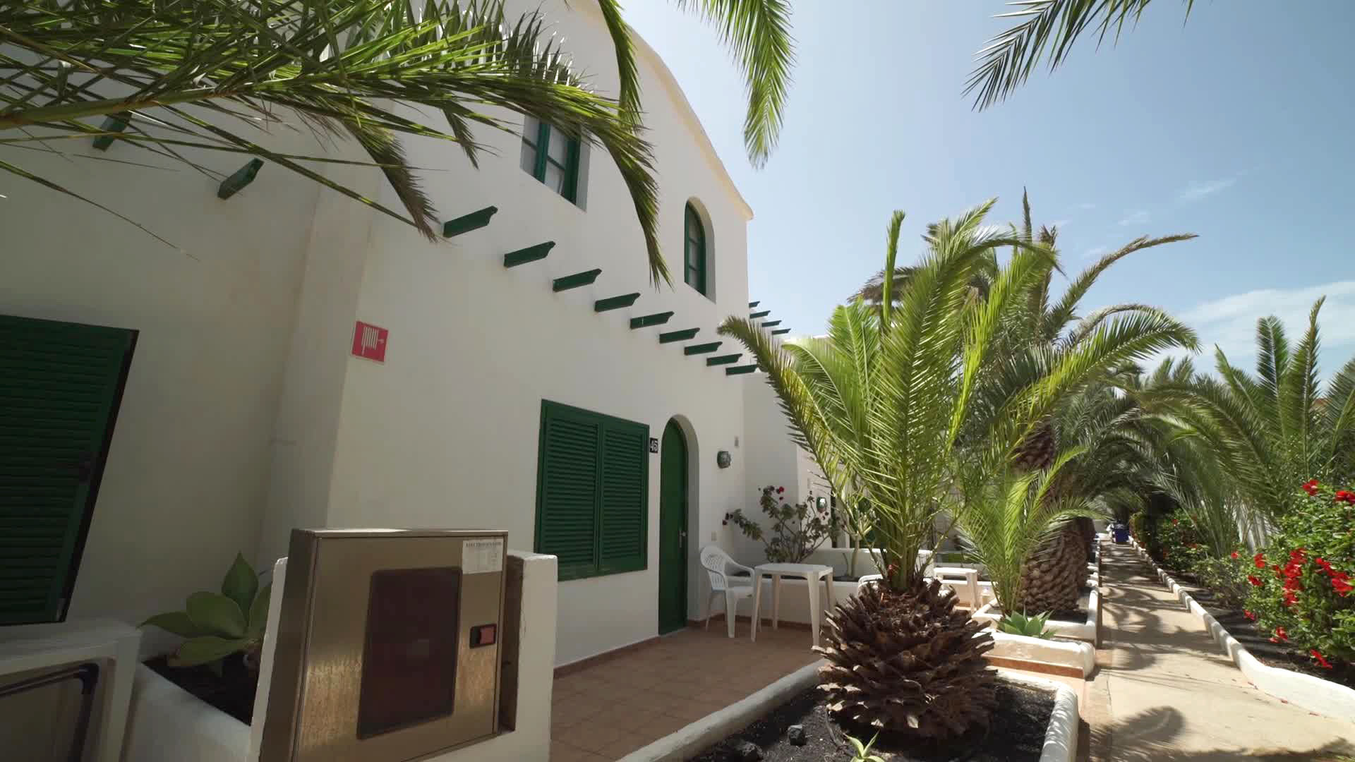 Cotillo Lagos
