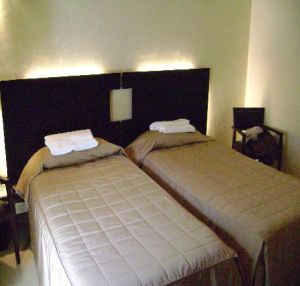 Hotel Meandro