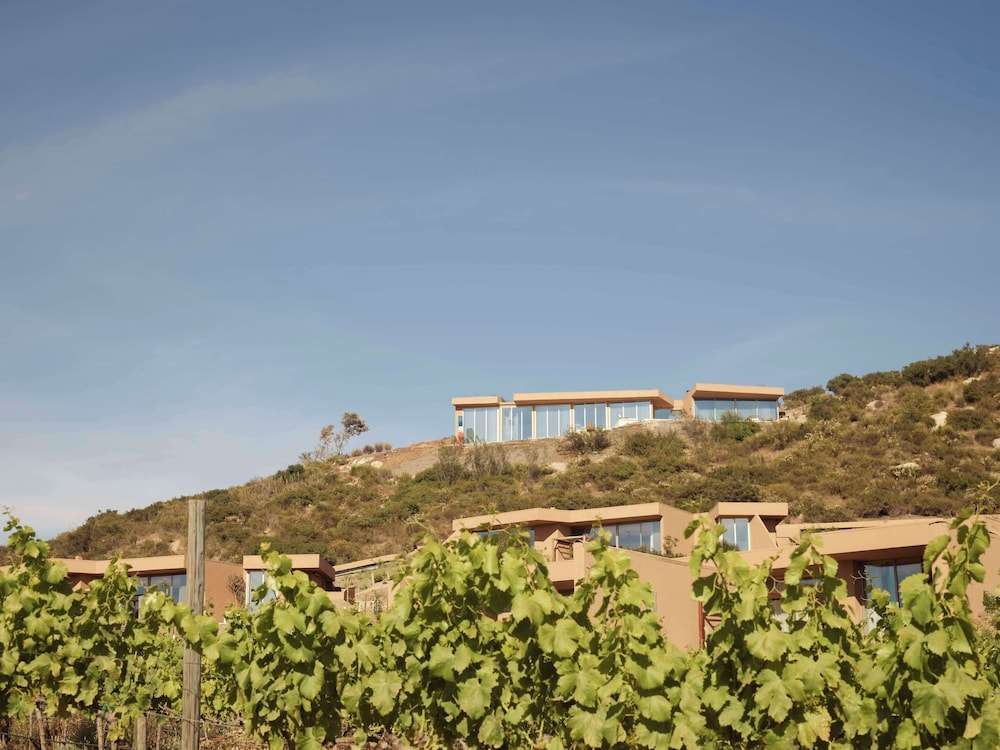 Banyan Tree Veya Valle de Guadalupe