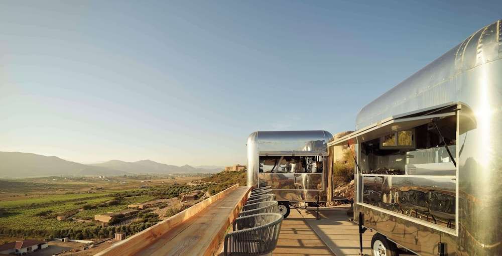 Banyan Tree Veya Valle de Guadalupe