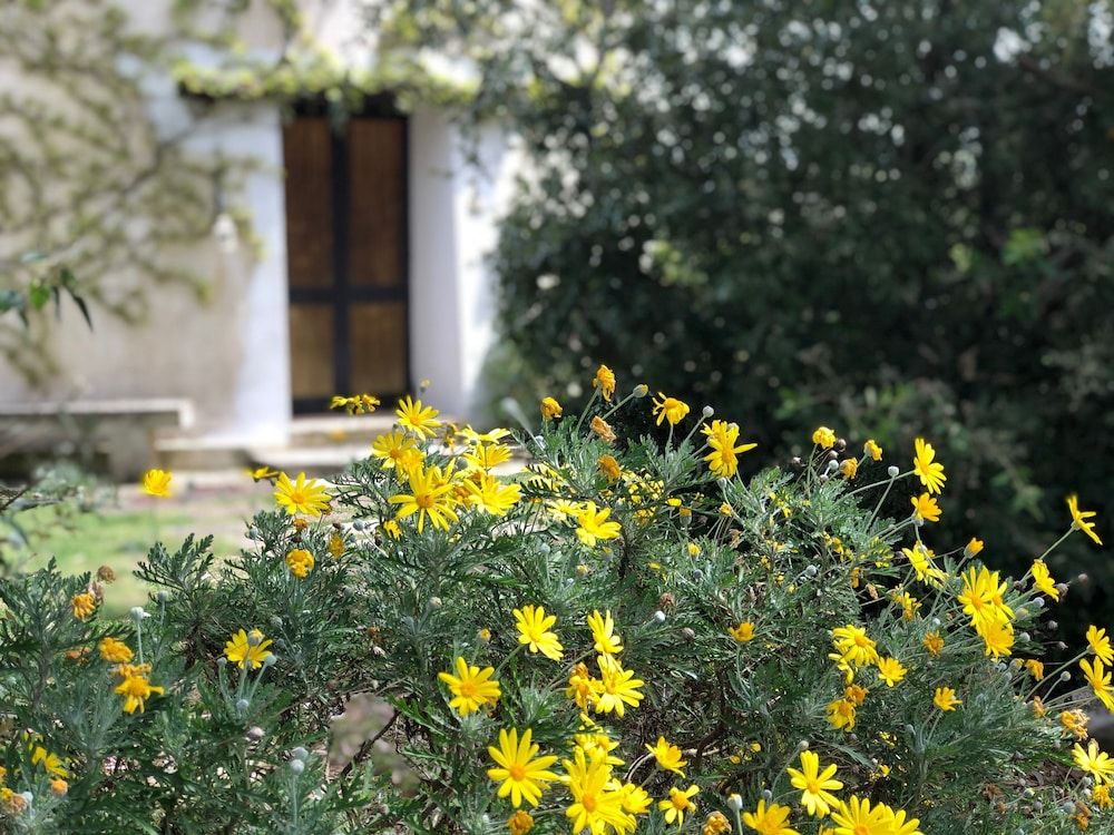 Masseria La Torre