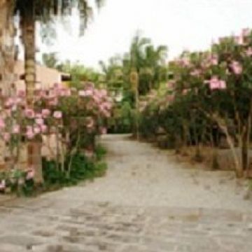 Agriturismo la Grevillea