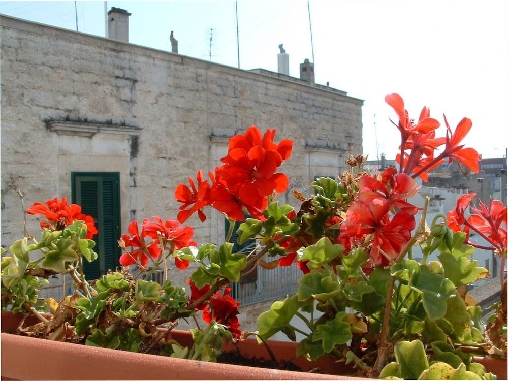 Frammenti D'Itria