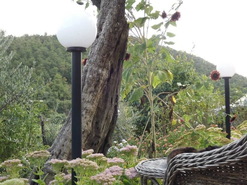 B&B La Corte Del Daino
