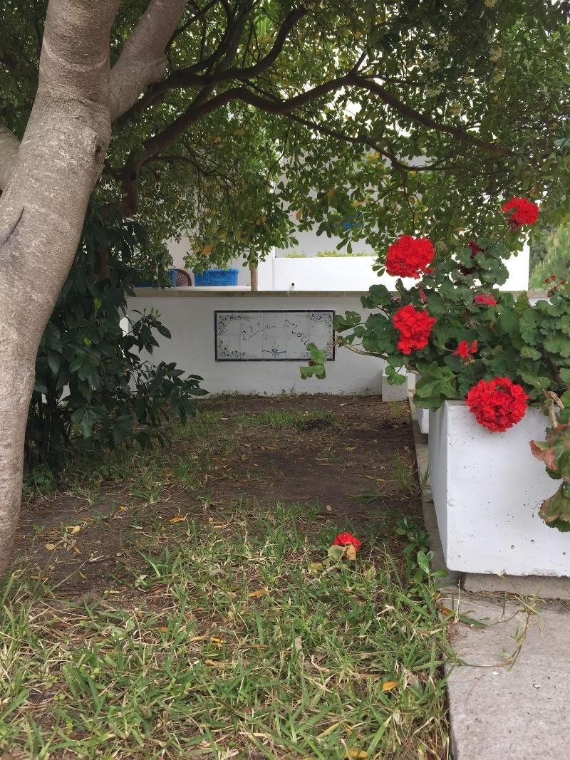 Villa Flora Studios & Apartments