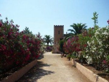 Son Marimon