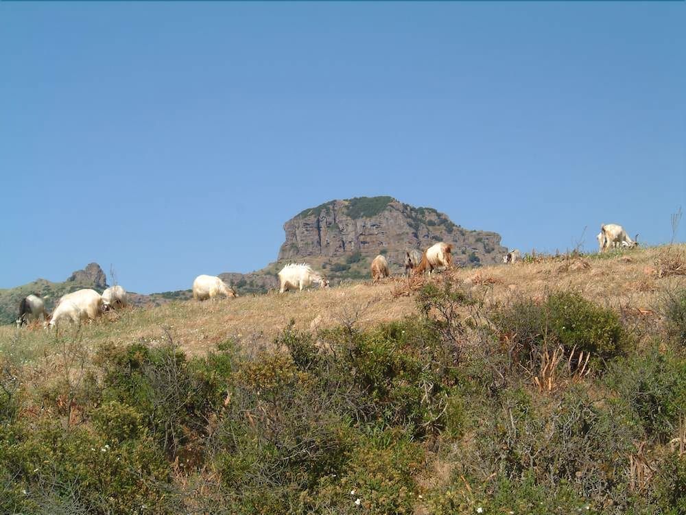 Agriturismo L’Oasi del Cervo