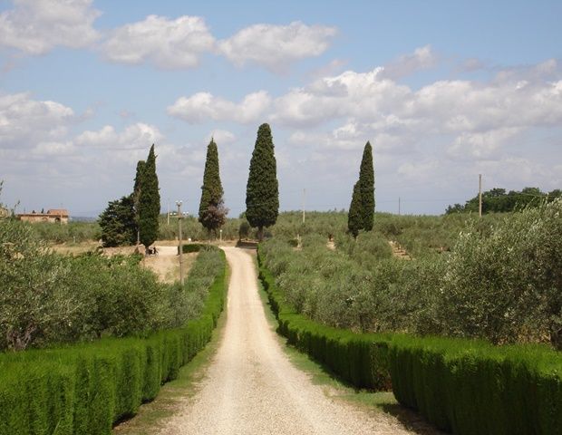 La Papessa Residence