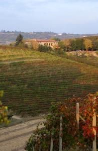 Fattoria La Quercia Rossa