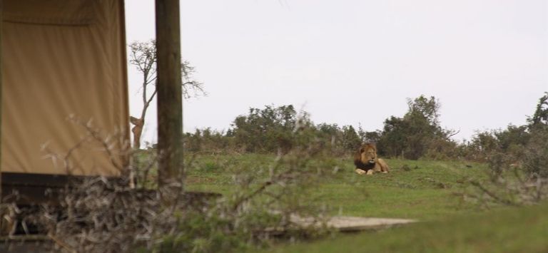 Gorah Elephant Camp